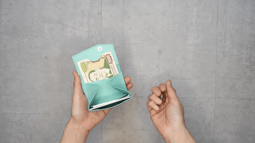 | Ex-Tone new collor | お札を折らない、世界最小クラスのミニ財布